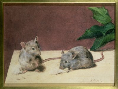 Two Mice Eating Cheese by Daniel Sherrin